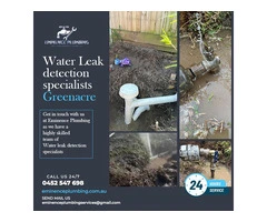 Get in Touch with Expert Water Leak Detection Specialists in Greenacre Today