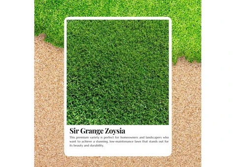 Achieve a Perfect Lawn with Sir Grange Zoysia Price