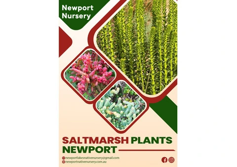 Boost Coastal Beauty: Newport's Best Saltmarsh Plants