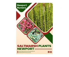Boost Coastal Beauty: Newport's Best Saltmarsh Plants
