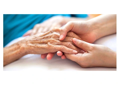 Connecting With Aged Care Service Providers In Lilydale