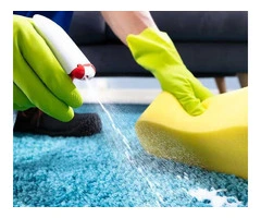 Best Carpet Cleaning Service Providers in Mosman Park