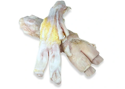 Beef Tendon For Dogs | RogueRaw