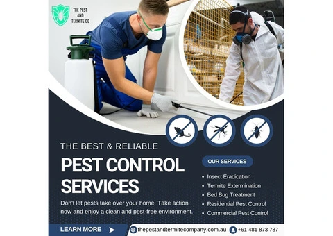Safe and Reliable Pest Control Solutions in Gold Coast