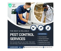 Safe and Reliable Pest Control Solutions in Gold Coast
