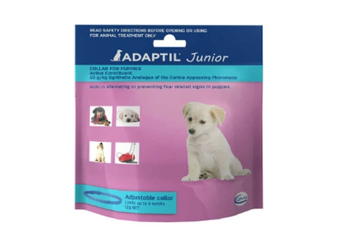 Adaptil Junior Puppy Collar