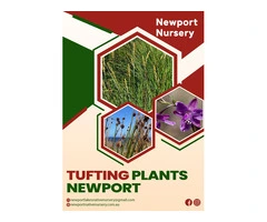 Transform Your Outdoors with Newport Tufting Plants