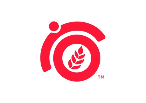 How to Measure the Success of Your SEO Campaign