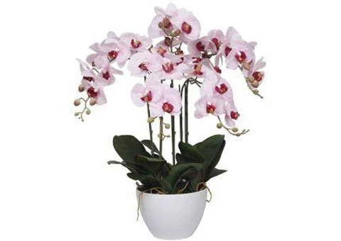 Install Small Fake Succulent Plants to Bring in Effortless Greenery