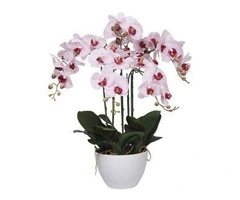 Install Small Fake Succulent Plants to Bring in Effortless Greenery