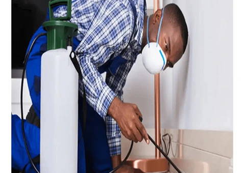 Pest Control Helensvale