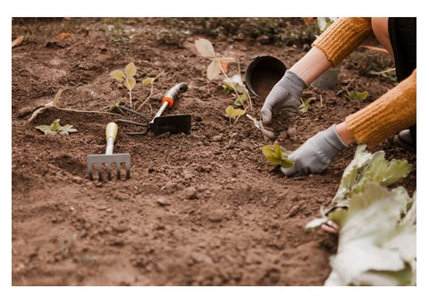 mulching and bed maintenance in lilydale