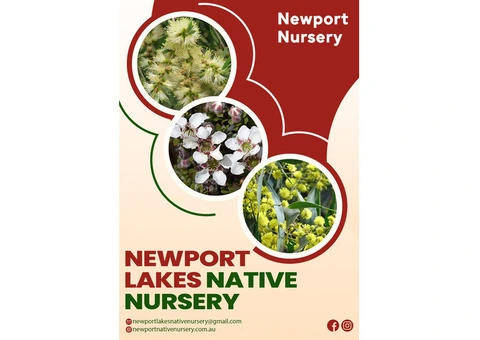 Transform Your Space with Newport Lakes Native Nursery Plants