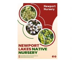Transform Your Space with Newport Lakes Native Nursery Plants