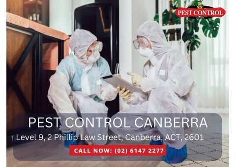Effective Fly Pest Control in Canberra: Get Help Now