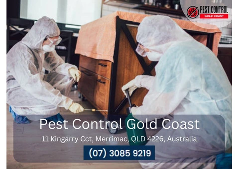 Spider Control Services Available on the Gold Coast