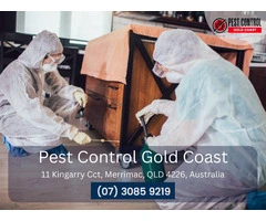 Spider Control Services Available on the Gold Coast