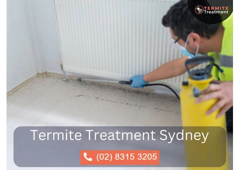 Termite Protection in Sydney: Secure Your Property Today