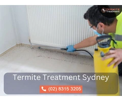 Termite Protection in Sydney: Secure Your Property Today