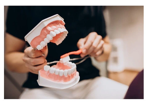 Affordable Dental Check-Up and Clean in Box Hill