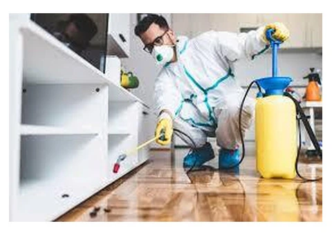 Your Local Pest Control Solution in Brisbane