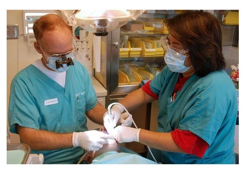 Expert Dentist in Collingwood | Comprehensive Dental Care Services