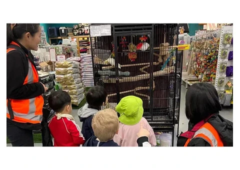 Childcare Centre Southern River Help Deepen Children’s Understanding of the World