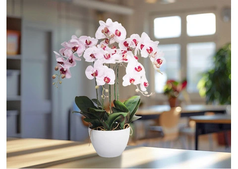 Enjoy Artificial Flowering Plants Anywhere Anytime