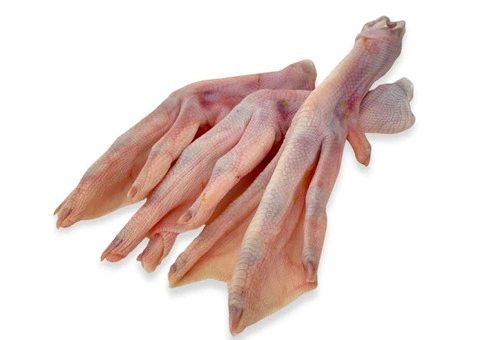 Duck Feet For Dogs | RogueRaw