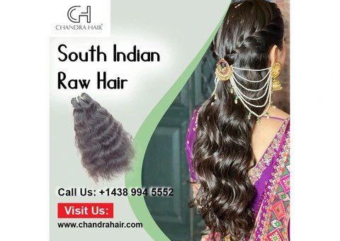 Buy South Indian Raw Hair Online – Chandra Hair
