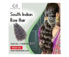 Buy South Indian Raw Hair Online – Chandra Hair