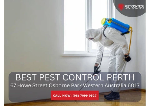 Commercial Pest Removal in Perth: Affordable and Effective Solutions