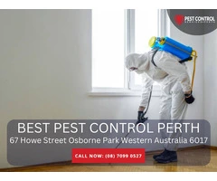 Commercial Pest Removal in Perth: Affordable and Effective Solutions