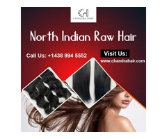 Buy North Indian Raw Hair Online – North Indian Hair