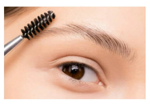 Perfectly Shaped Brows with Professional Day Spa in Australia