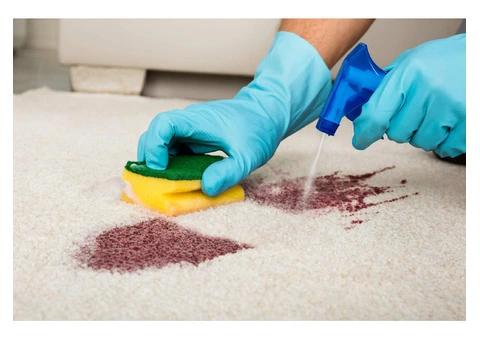 Carpet Cleaning Watsonia – Steam & Refresh Services