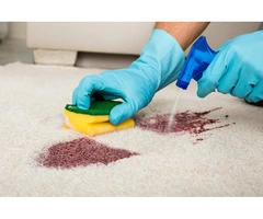 Carpet Cleaning Watsonia – Steam & Refresh Services