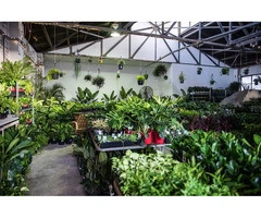Melbourne – Springtime Splendour Plant Sale!