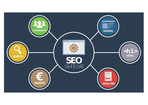 Comprehensive SEO Services | All SEO Solutions for Business Growth