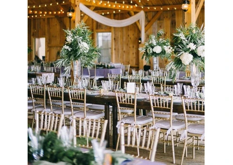 Buy Tiffany Chairs Online for Stylish Occasions