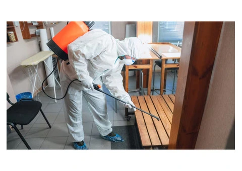 Begin the Pest Control Journey with Termite Control Services