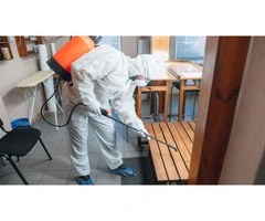 Begin the Pest Control Journey with Termite Control Services