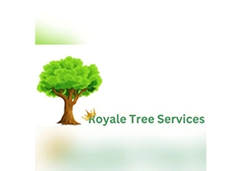 Tree Removal Sydney - Royale tree service