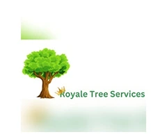 Tree Removal Sydney - Royale tree service