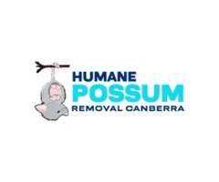 Humane Possum Removal Canberra