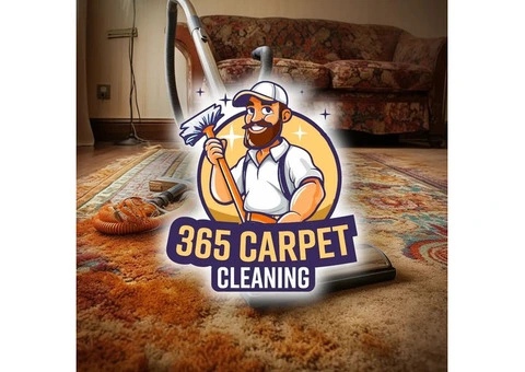 Best Carpet Cleaning Services Sydney | Professional Carpet Cleaners |365 Carpet Cleaning in Sydney