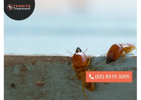 Emergency Termite Treatment : Urgent Care for Your Home