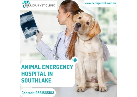 Top Mobile Vets Near Southlake: Emergency Care at Your Doorstep