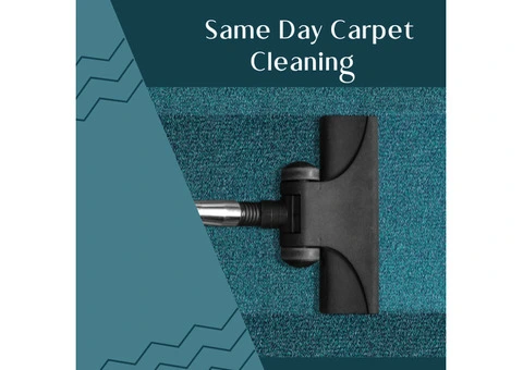 Revive Your Carpets with Expert Cleaning in Doncaster East