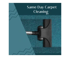 Revive Your Carpets with Expert Cleaning in Doncaster East
